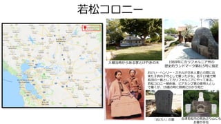 若松コロニー
「おけい」の墓
おけい…ヘンリー・スネルが日本人妻との間に出
来た子供の子守として雇った少女。若干17歳で開
拓団の一員としてカリフォルニアにやって来る。
若松コロニー解体後、ビアカンプ家の使用人とし
て働くが、19歳の時に熱病にかかり死亡
入植当時からある家とけやきの木 1969年にカリフォルニア州の
歴史的ランドマーク第815号に指定
会津若松市の背あぶり山にも
お墓が存在
 
