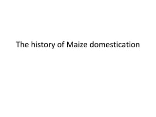 The history of Maize domestication
 