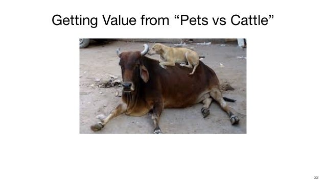 Getting value from 'Pets vs Cattle' Slide share clip