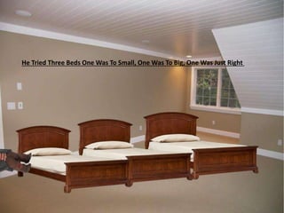 He Tried Three Beds One Was To Small, One Was To Big, One Was Just Right
 