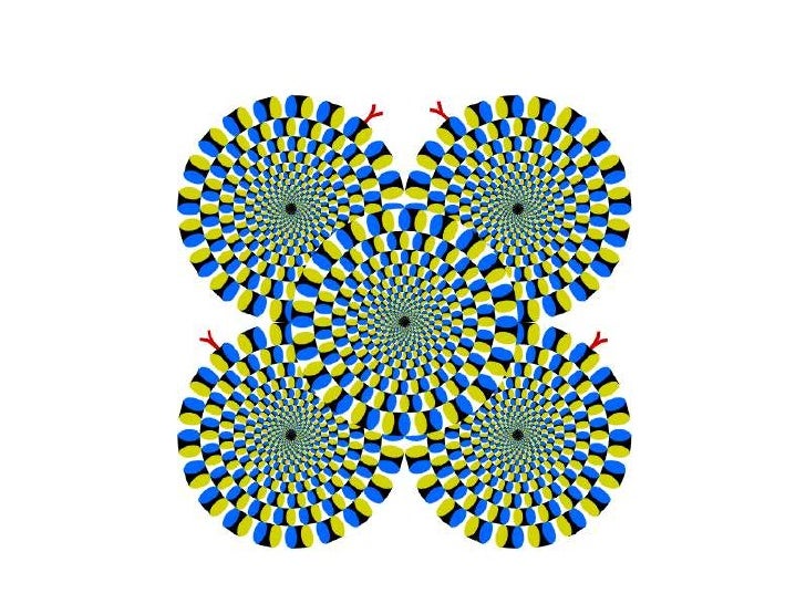 The hole in your brain