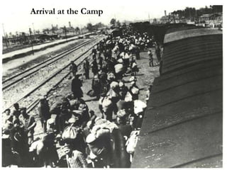 Arrival at the Camp 