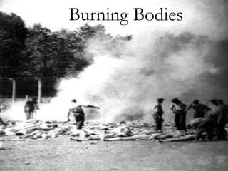 Burning Bodies 