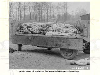 A truckload of bodies at Buchenwald concentration camp 