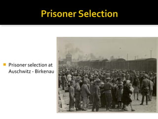   Prisoner selection at
    Auschwitz - Birkenau
 