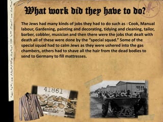 The Jews had many kinds of jobs they had to do such as : Cook, Manual
labour, Gardening, painting and decorating, tidying and cleaning, tailor,
barber, cobbler, musician and then there were the jobs that dealt with
death all of these were done by the “special squad.” Some of the
special squad had to calm Jews as they were ushered into the gas
chambers, others had to shave all the hair from the dead bodies to
send to Germany to fill mattresses.
 