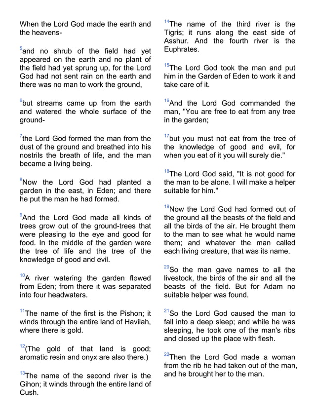 FREE DOWNLOAD HOLY BIBLE NEW INTERNATIONAL VERSION visual data 2