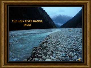 THE HOLY RIVER GANGA 
INDIA 
 