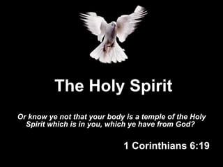 The Holy Spirit Or know ye not that your body is a temple of the Holy Spirit which is in you, which ye have from God?   1 Corinthians 6:19 