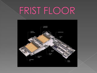    FRIST FLOOR