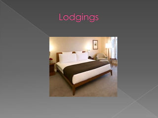 Lodgings