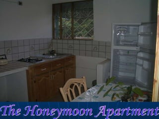 The Honeymoon Apartment 