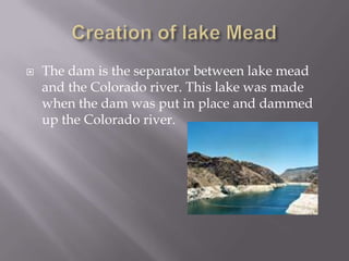 Creation of lake MeadThe dam is the separator between lake mead and the Colorado river. This lake was made when the dam was put in place and dammed up the Colorado river.