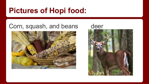 The Hopi Tribe By Janiya Lydia And Kira