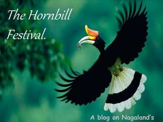 The Hornbill
Festival.
A blog on Nagaland’s
 