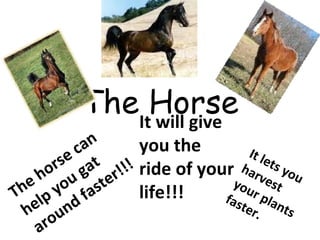 The Horse It lets you harvest your plants faster. It will give you the ride of your life!!! The horse can help you gat around faster!!! 