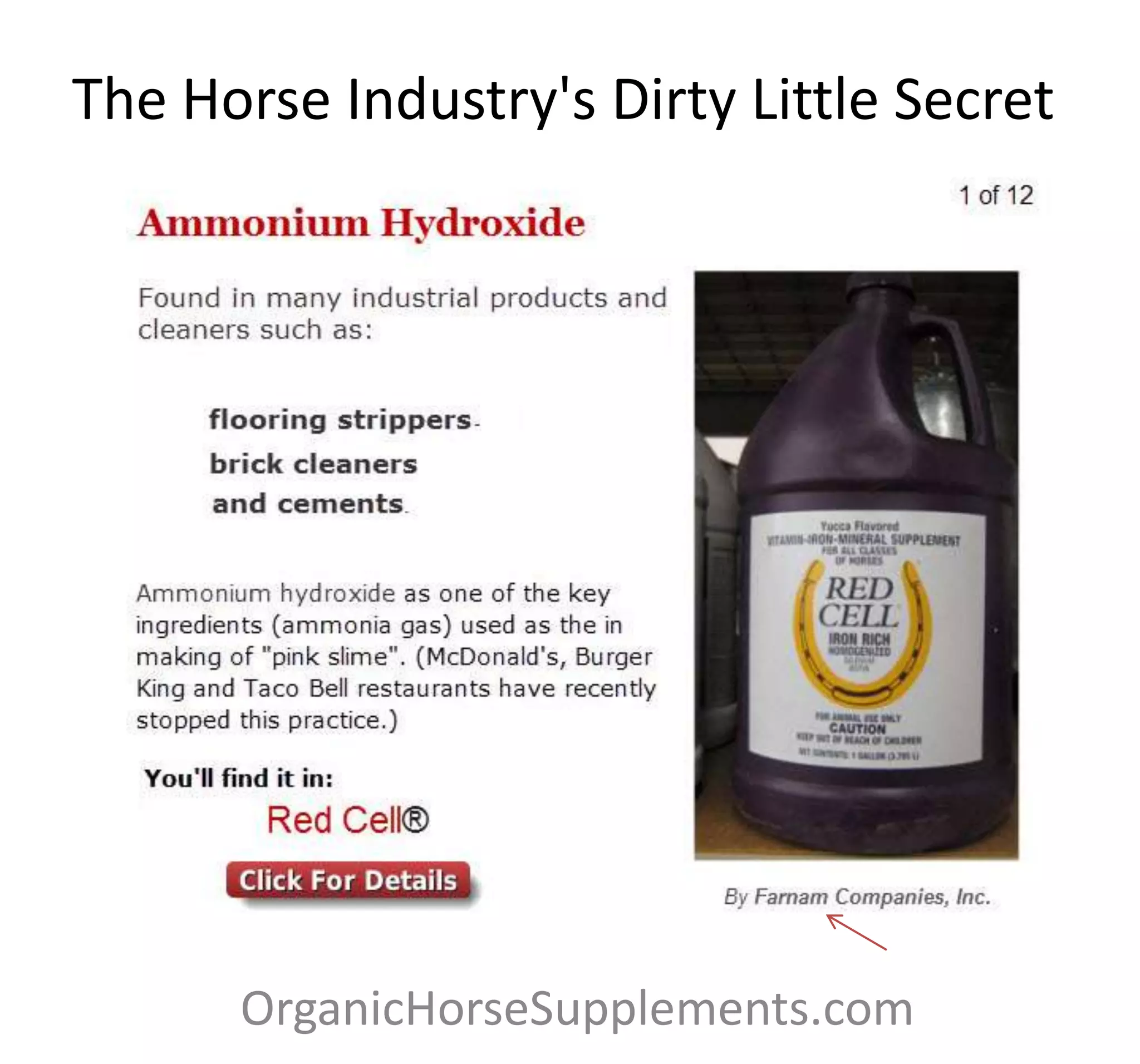 Horse industry's dirty little secret PPTX