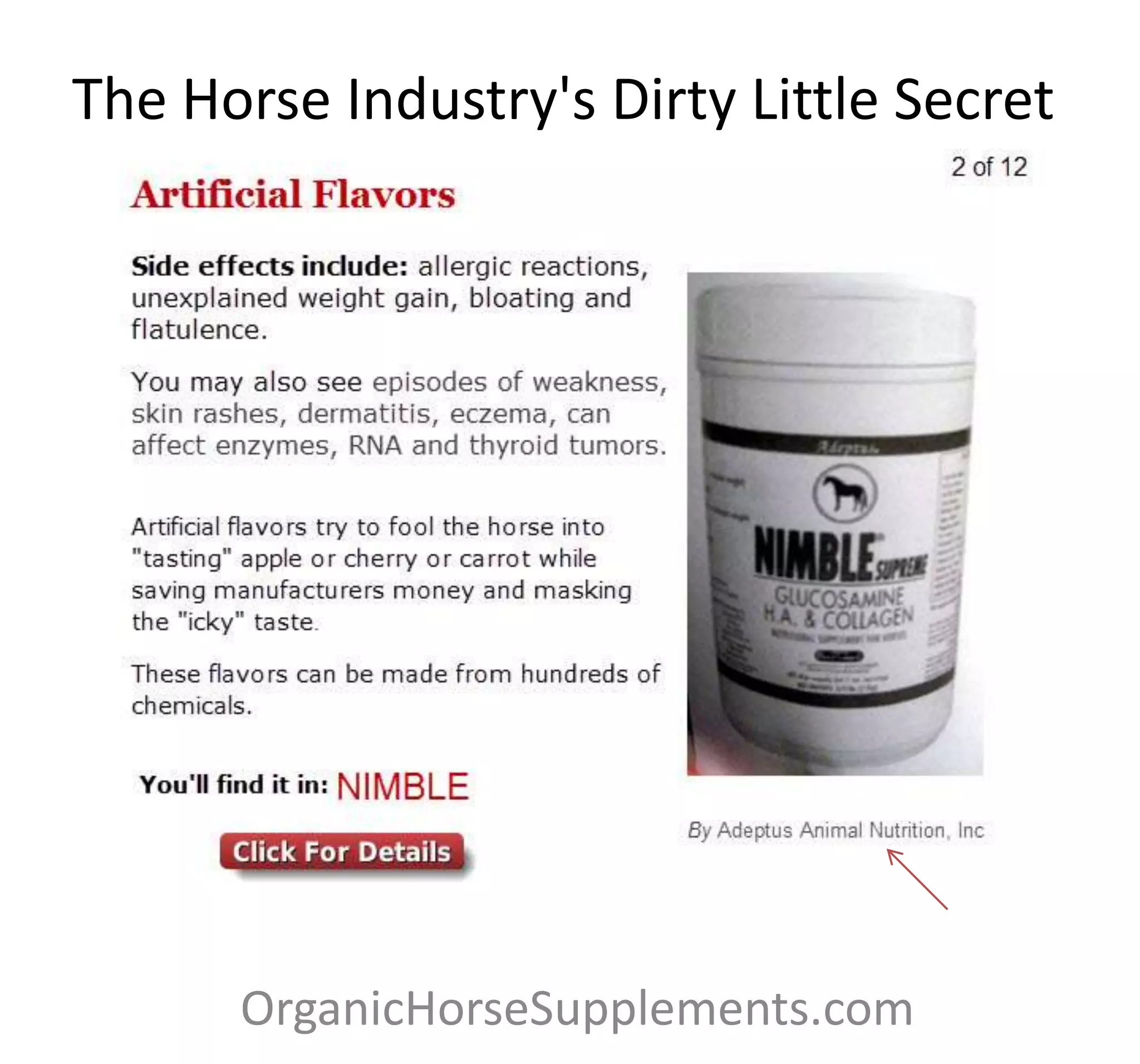 Horse industry's dirty little secret PPTX