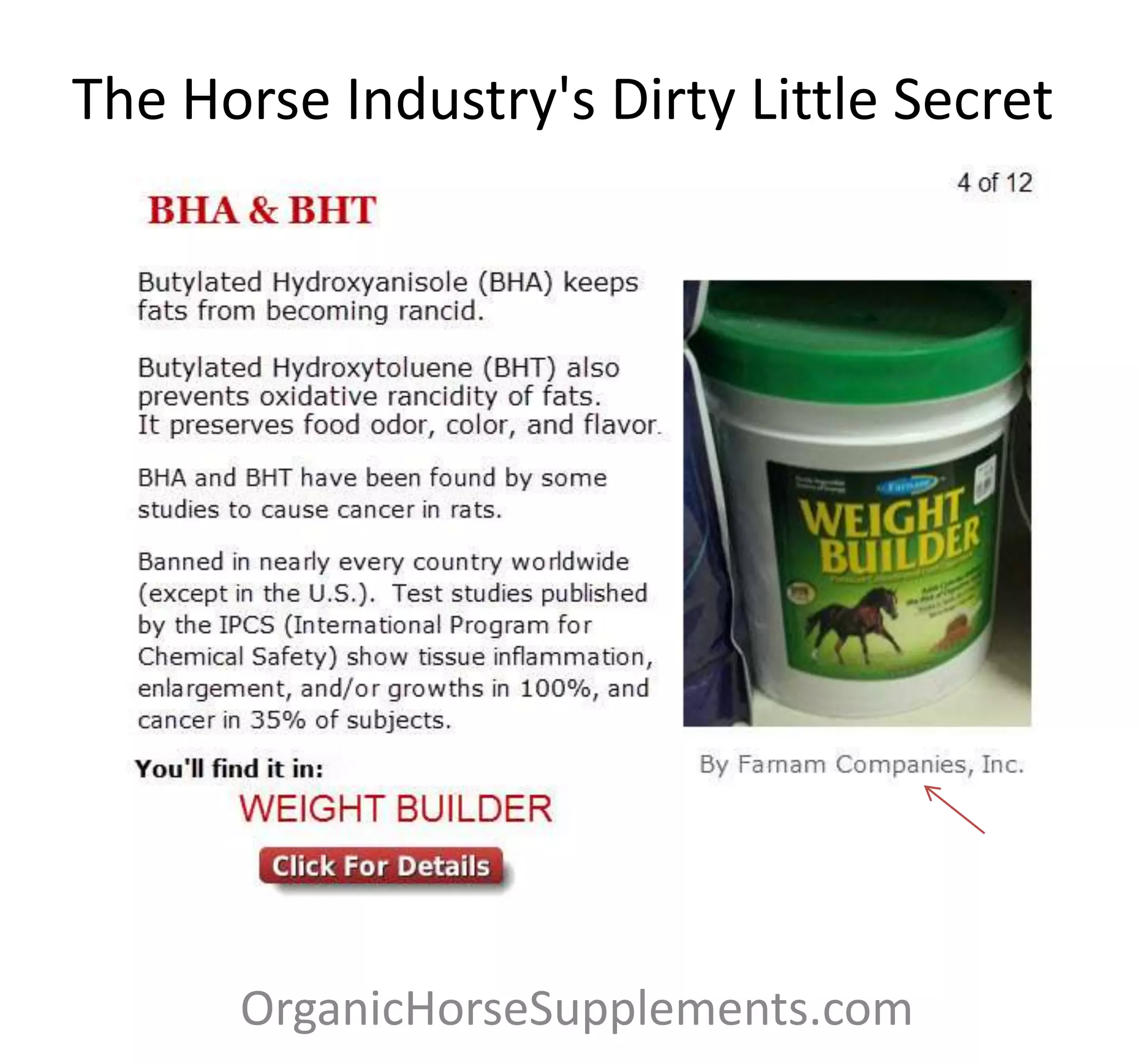 Horse industry's dirty little secret PPTX