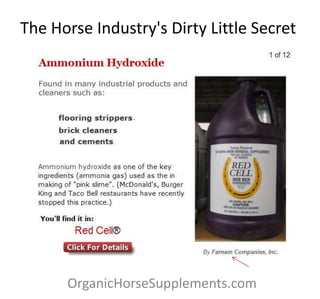 The Horse Industry's Dirty Little Secret
OrganicHorseSupplements.com
 