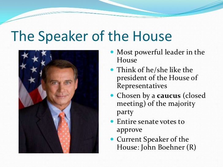 The house of representatives The house of representatives