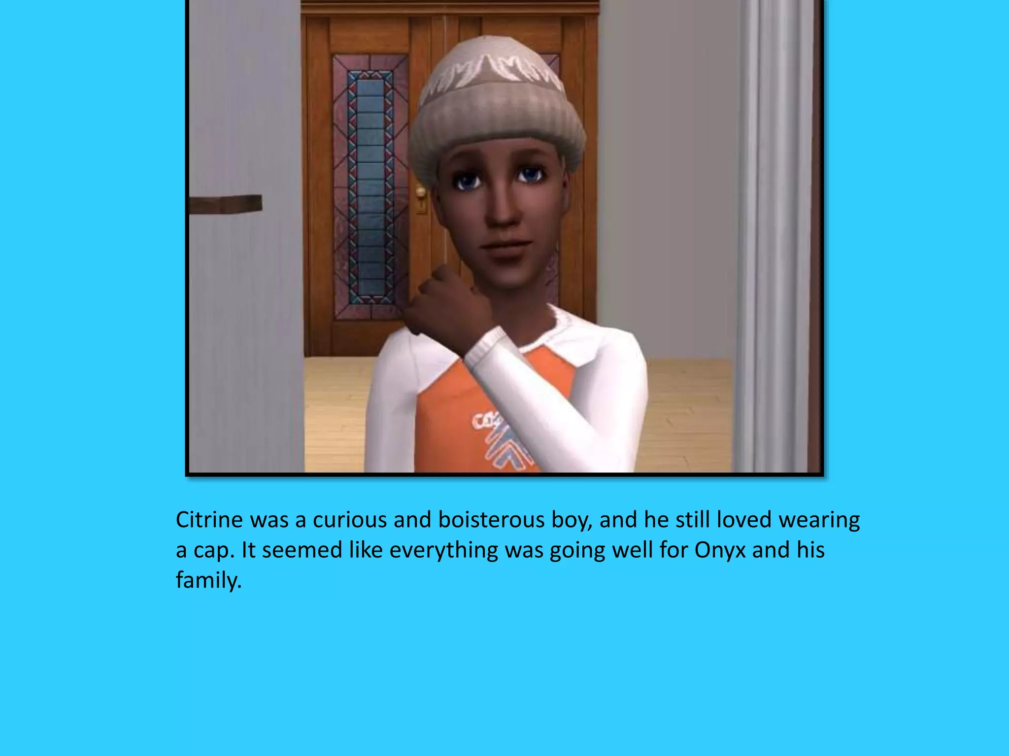 Citrine was a curious and boisterous boy, and he still loved wearing
a cap. It seemed like everything was going well for Onyx and his
family.
 