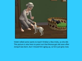 Violet rolled some wants to teach Viridian a few tricks, so she did.
This picture is also here to point out that Bronze got old soon after
Jonquil was born, but I missed him aging up, so he’s just grey now.
 