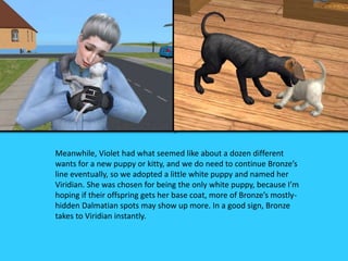 Meanwhile, Violet had what seemed like about a dozen different
wants for a new puppy or kitty, and we do need to continue Bronze’s
line eventually, so we adopted a little white puppy and named her
Viridian. She was chosen for being the only white puppy, because I’m
hoping if their offspring gets her base coat, more of Bronze’s mostly-
hidden Dalmatian spots may show up more. In a good sign, Bronze
takes to Viridian instantly.
 
