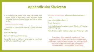 Appendicular Skeleton
• It contains 128 bones that form the lower and
upper limbs of the body, such as waist bone
(shoulder bones, shoulder girdle and hip or pelvic
girdle)
Superior Limbs: 64 bones
Shoulder: it consists of clavicle (2) and shoulder
blade(2).
Arm: Humeral (2)
Forearm: Ulna (2) and Radio (2)
Hand: Carpo or wrist (16); metarcapal or hand (10)
and Phalanges or fingers (18)
• Lower extremities: it consists of osseous and 62
are:
Hips: is located the Ilium (2)
Thigh: Femur (2)
Leg: the following bones are found: Fibula (2);Tibia (2)
and Kneecap (2)
Feet:The tarso (16); Metatarsal(10) and Phalanges (26)
Function:The main function of the
appendicular Skeleton is the movement,
contains specialized bones for locomotion
and includes extremities joints that
connect the trunk (axial skeleton)
 