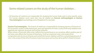 Some related careers on the study of the human skeleton…
• All branches of medicine are responsible for studying the human body and in some specific areas.
For human skeleton some races that may be related are forensic anthropologists or Doctors
Traumatologists (traumatology and orthopedics) For example:
DoctorsTraumatologists: This branch of medicine is responsible for studying injuries or fractures of
the locomotor system (collectively bone, joint and ligament) for that a study of the axial skeleton and
appendicular required, structure and function of bones.
When a bone is fractured often only it affects the injured bone or can somehow affect another part of
the bone, also affects the function of that bone. From an anatomist view is the study of the
composition and structure of bones and overall the human skeleton and from a physiological point of
view is the study of that which functions meet every bone and as they do to perform those functions.
 