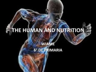 THE HUMAN AND NUTRITION
WIAME
6° DE PRIMARIA
 