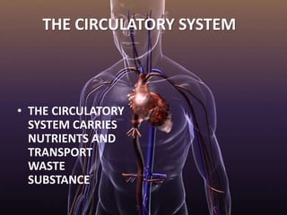 THE CIRCULATORY SYSTEM
• THE CIRCULATORY
SYSTEM CARRIES
NUTRIENTS AND
TRANSPORT
WASTE
SUBSTANCE
 