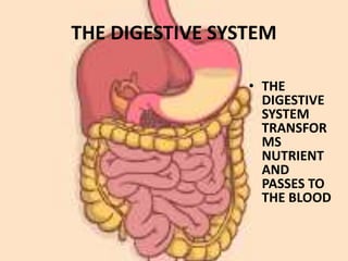 THE DIGESTIVE SYSTEM
• THE
DIGESTIVE
SYSTEM
TRANSFOR
MS
NUTRIENT
AND
PASSES TO
THE BLOOD
 
