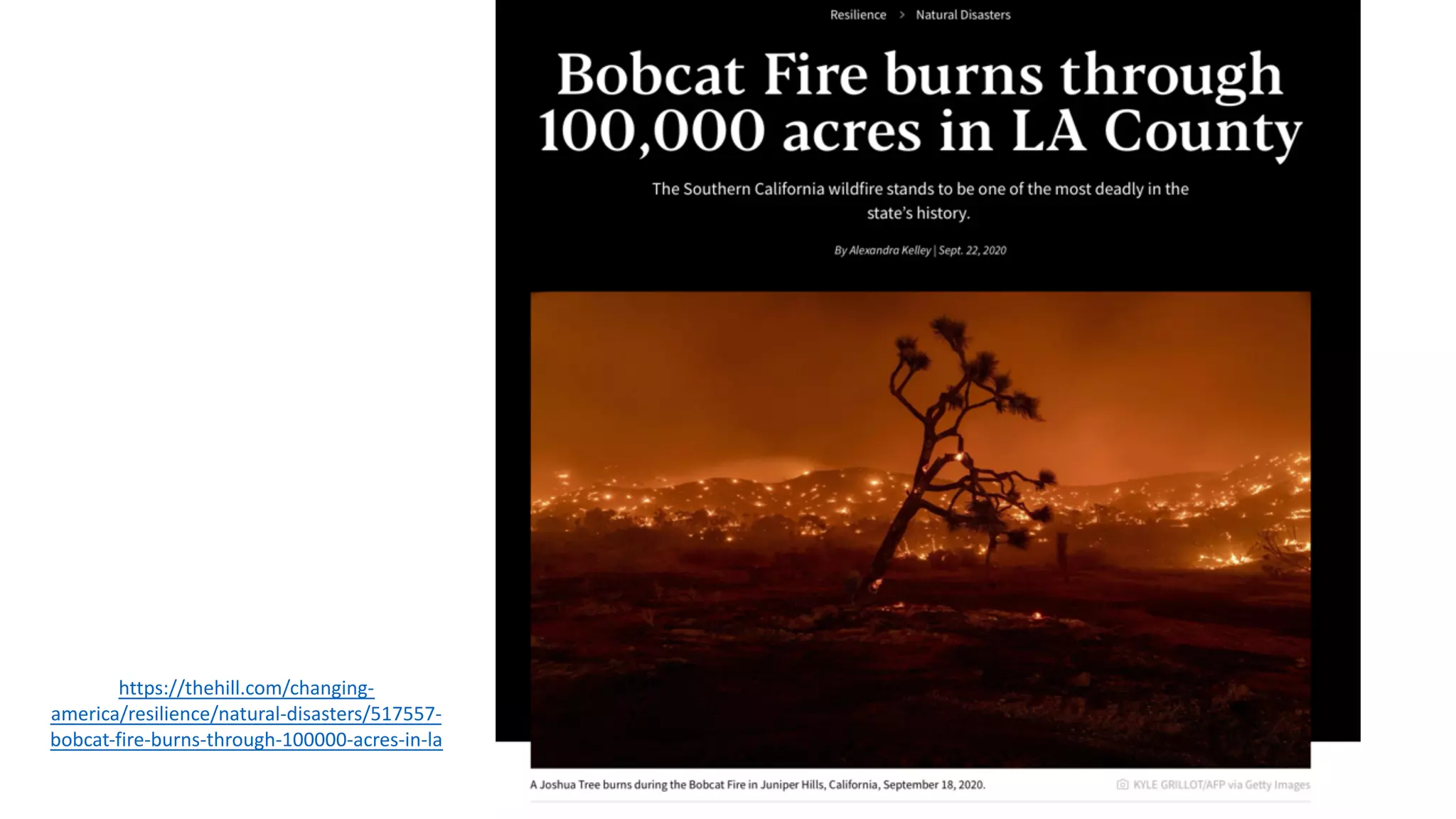 The Human Biome | PDF