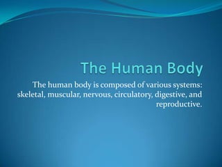 The Human Body The human body is composed of various systems: skeletal, muscular, nervous, circulatory, digestive, and reproductive. 
