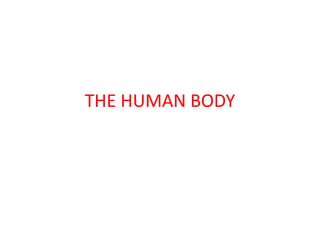 THE HUMAN BODY 