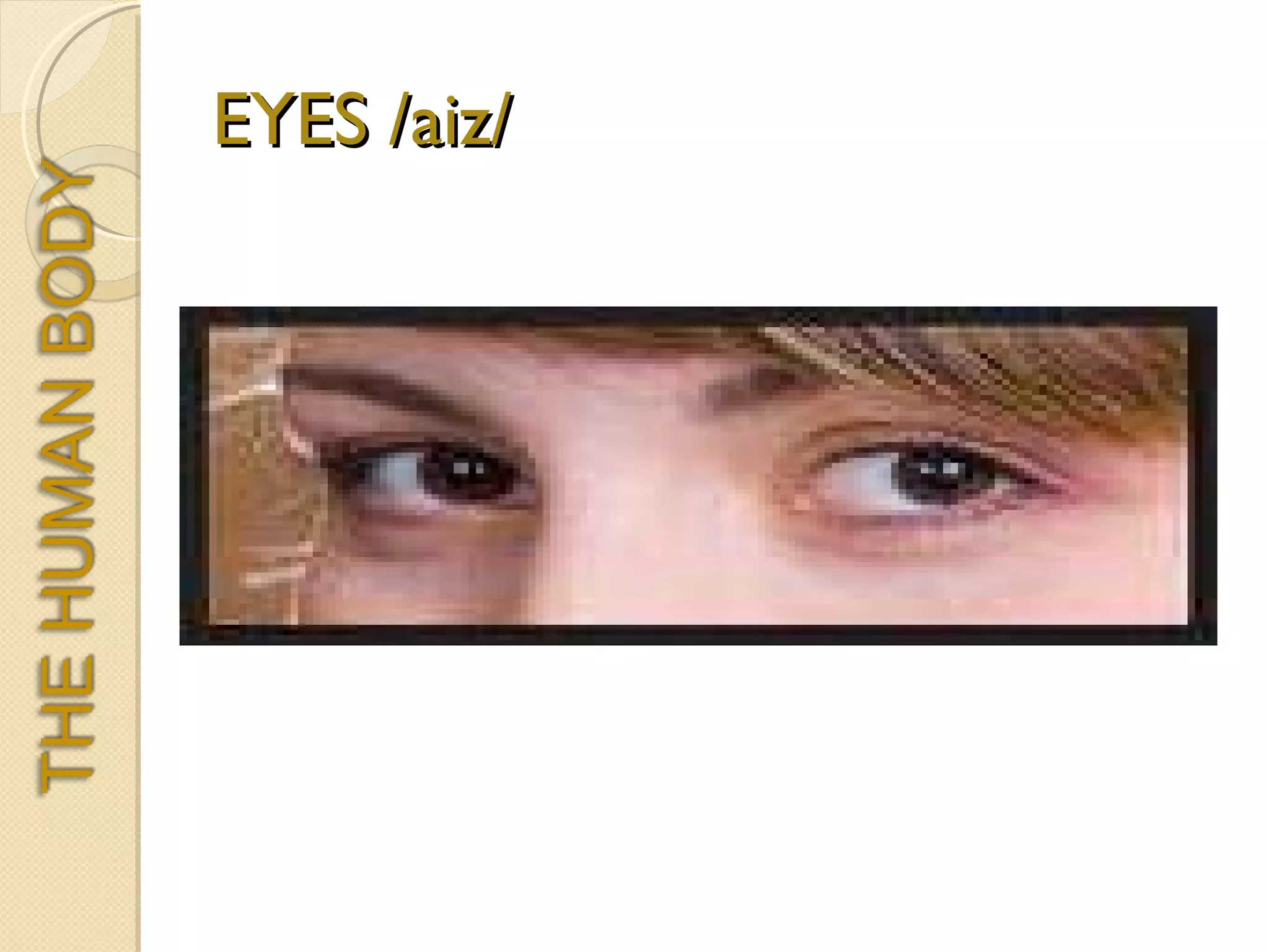 EYES /aiz/