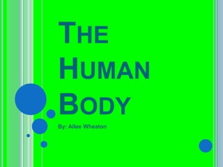 THE
HUMAN
BODY
By: Allee Wheaton
 