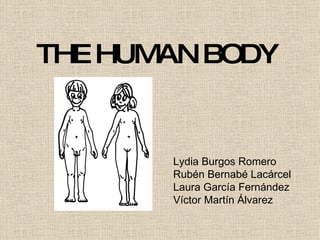 THE HUMAN BODY Lydia Burgos Romero Rubén Bernabé Lacárcel Laura García Fernández Víctor Martín Álvarez 
