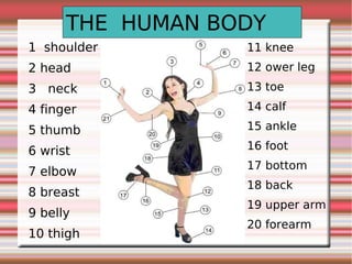 THE HUMAN BODY
1 shoulder        11 knee
                  12 ower leg
2 head
                  13 toe
3 neck
                  14 calf
4 finger
                  15 ankle
5 thumb
                  16 foot
6 wrist
                  17 bottom
7 elbow
                  18 back
8 breast
                  19 upper arm
9 belly
                  20 forearm
10 thigh
 