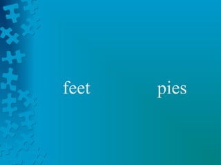 feet   pies
 