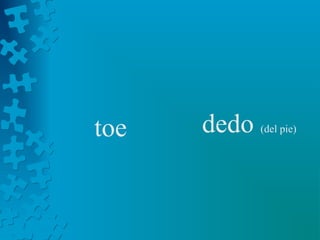toe   dedo   (del pie)
 