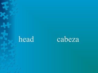 head   cabeza
 
