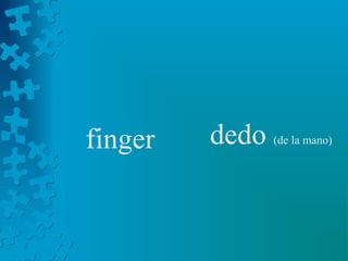 finger   dedo   (de la mano)
 