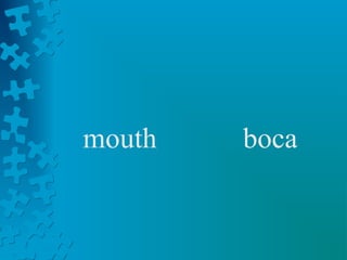 mouth   boca
 