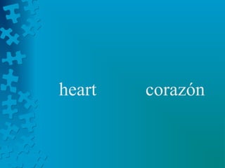 heart   corazón
 