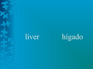 liver   hígado
 