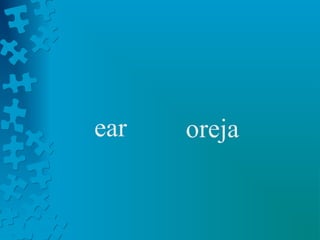 ear   oreja
 
