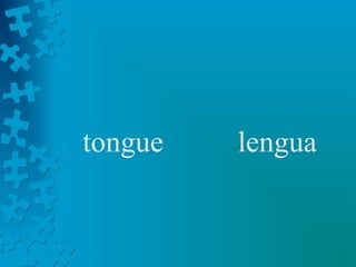 tongue   lengua
 