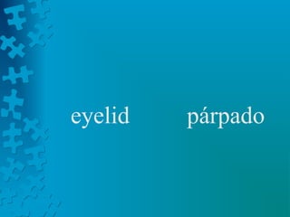 eyelid   párpado
 